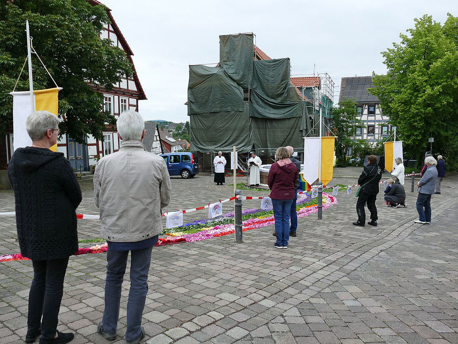 Bluemteppich auf dem Naumburegr Marktplatz (Foto: Karl-Franz Thiede)